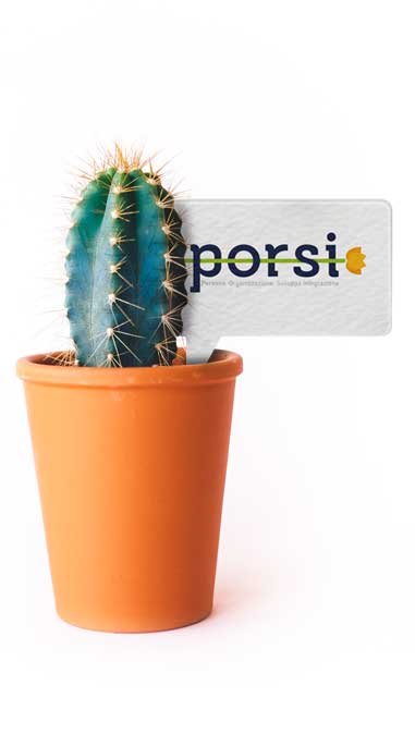 cactus-home Piano P.or.s.i.